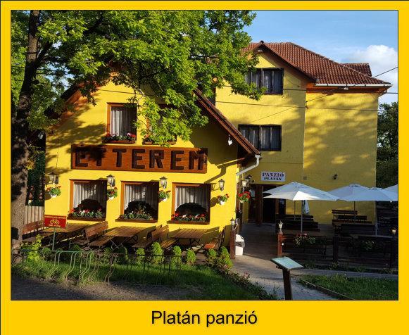 Platan Panzio Hotel Dobogoko Ngoại thất bức ảnh
